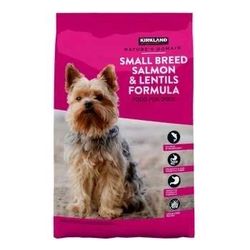 dog food 