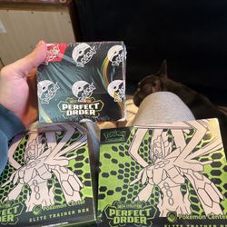 Pokemon Perfect order