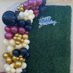 Balloons and Backdrop