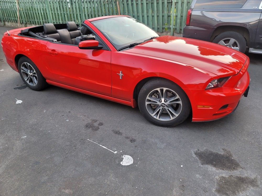 2013 Ford Mustang