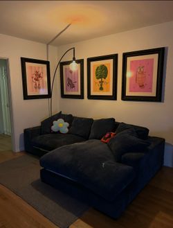 blue corduroy couch  w bones! (NOT BONELESS) OBO