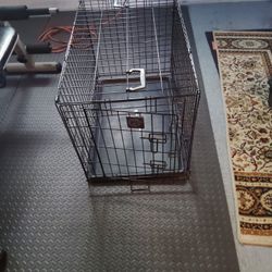 Dogs Cage