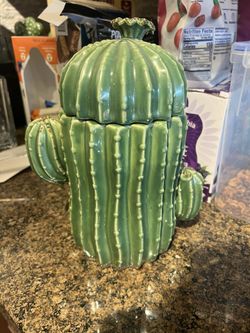 Glass Cactus Container