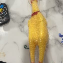 3 Dollars new chicken toy