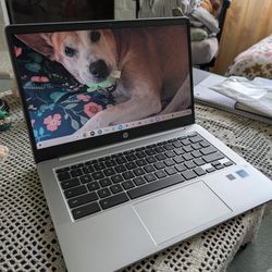 HP Chromebook 