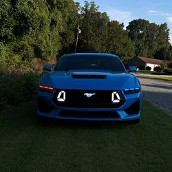 2024-2025 Mustang RTR GRILLE (real, not a knockoff)