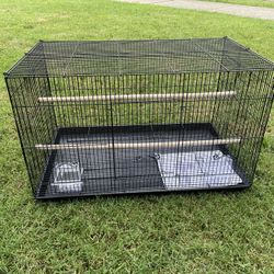 Birds Cage  Comfortable home for your bird  Never been used 