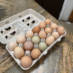 Cage Free Eggs