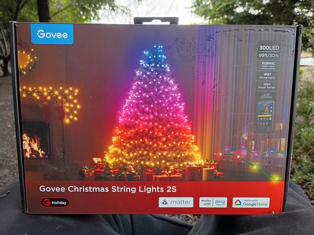 Govee Christmas String Lights
