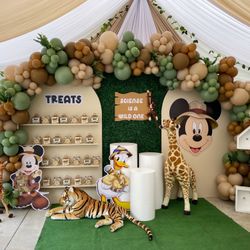 Balloons And Backdrops 