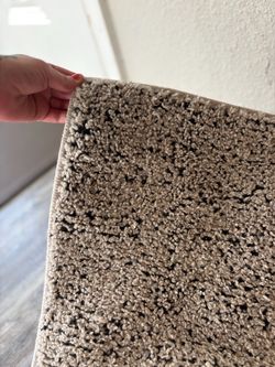 Large living room rug