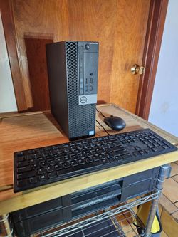 Dell PC. Intel -i7-CPU 16GB Ram. GPU: Radeon Graphics