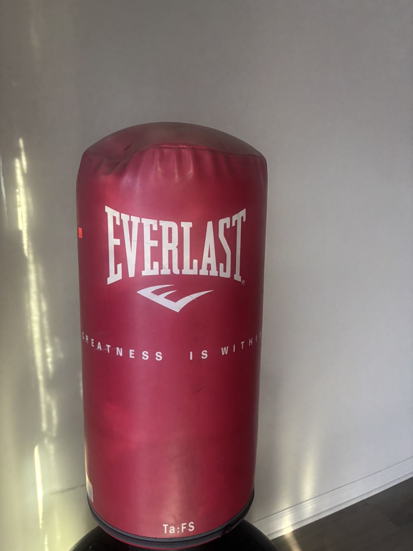 Punching bag