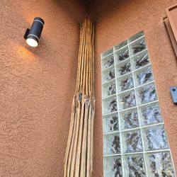 Saguaro Skeleton Art