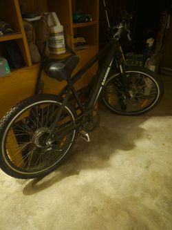 Electric bike