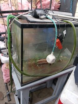 Fish Tank Everything Works