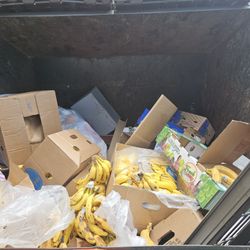 Free Aldis Food And Misc 