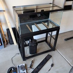 40 Gallon Aquarium Setup 