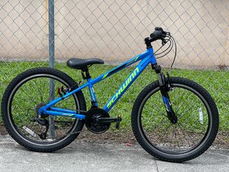 Schwinn Thrasher 24” Kids Bike