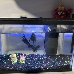 5 Gallon Glofish Tank Aquarium $50 OBO