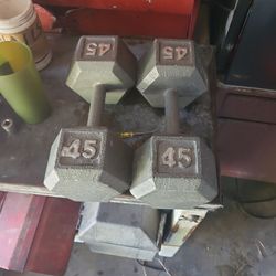 Dumbells 45 One Pair