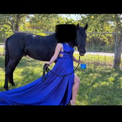 Long Flying Dress For Photoshoot