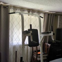 Pull-up/ Dip Bar