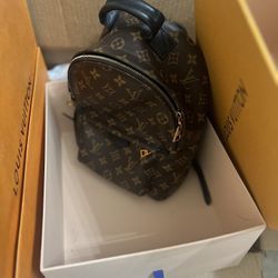 Louis Vuitton Palm Spring Pm Backpack