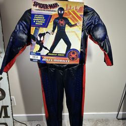 Kids Spider-Man Costumer 