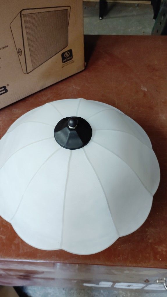 Ceiling Light Fixture