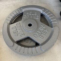  45 Lb Weights X 2