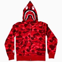 Bape Color Camo SharK WGM Hoodie