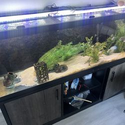 125 Gallon Fish Tank