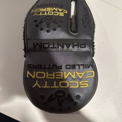 Scotty Cameron Phantom Head Cover. 