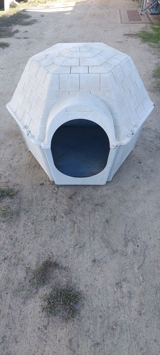 Large Animal House.