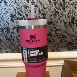 Stanley The Quencher 40 Oz Tumbler Citron Limited Edition Color for Sale in  Charlotte, NC - OfferUp