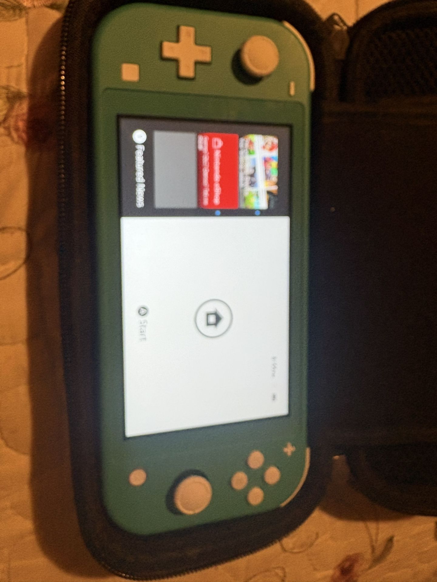 Nintendo Switch And Nintendo Lite