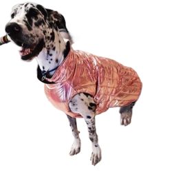 XXL Dog Jacket 