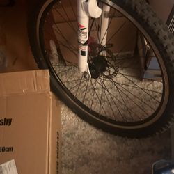 New Bike 