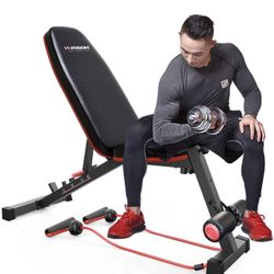 Workout Bench | 550 LB