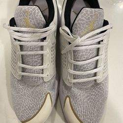 Jordan Trainer ST Premium WhiteGold Size 13