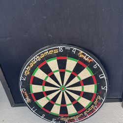 Professional Dart Board