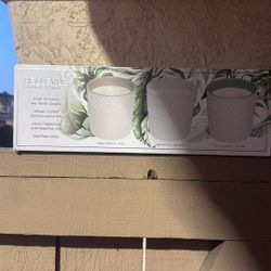 Bellevue Luxury Candles 