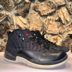 Jordan 12 Nylon Size 11 Used