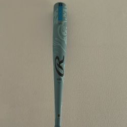 Baseball Bat
