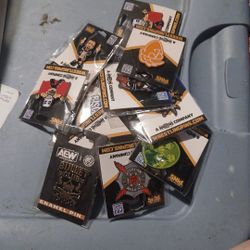 Wrestlers Assorted Pins 