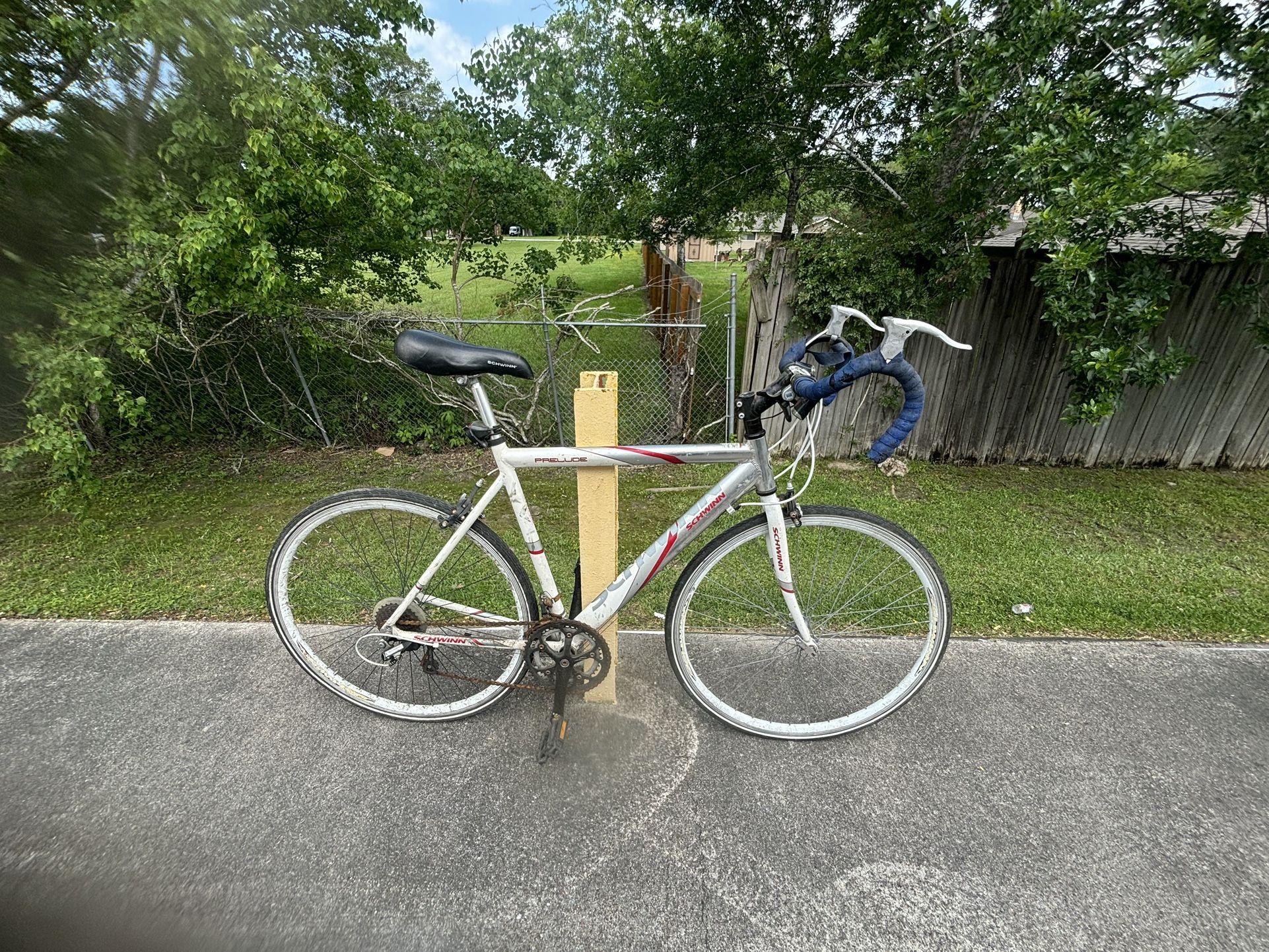 Schwinn Road Bike