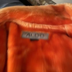 Aldo Jacket 