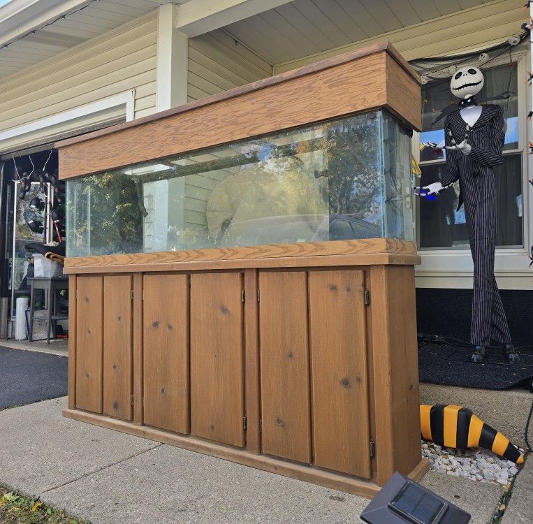 Aquarium Tank, Stand With Canopy - Fully Stocked! 