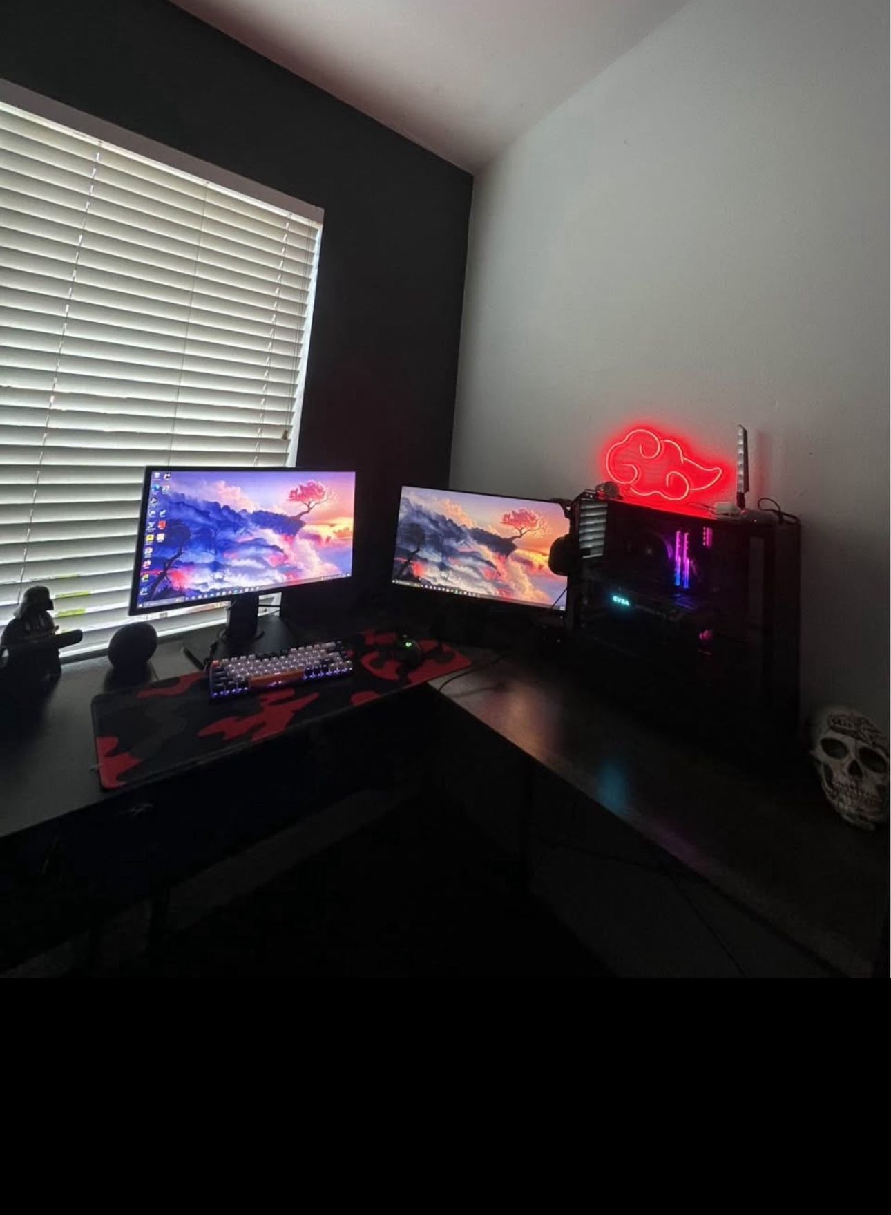Whole Gaming Computer Set Up